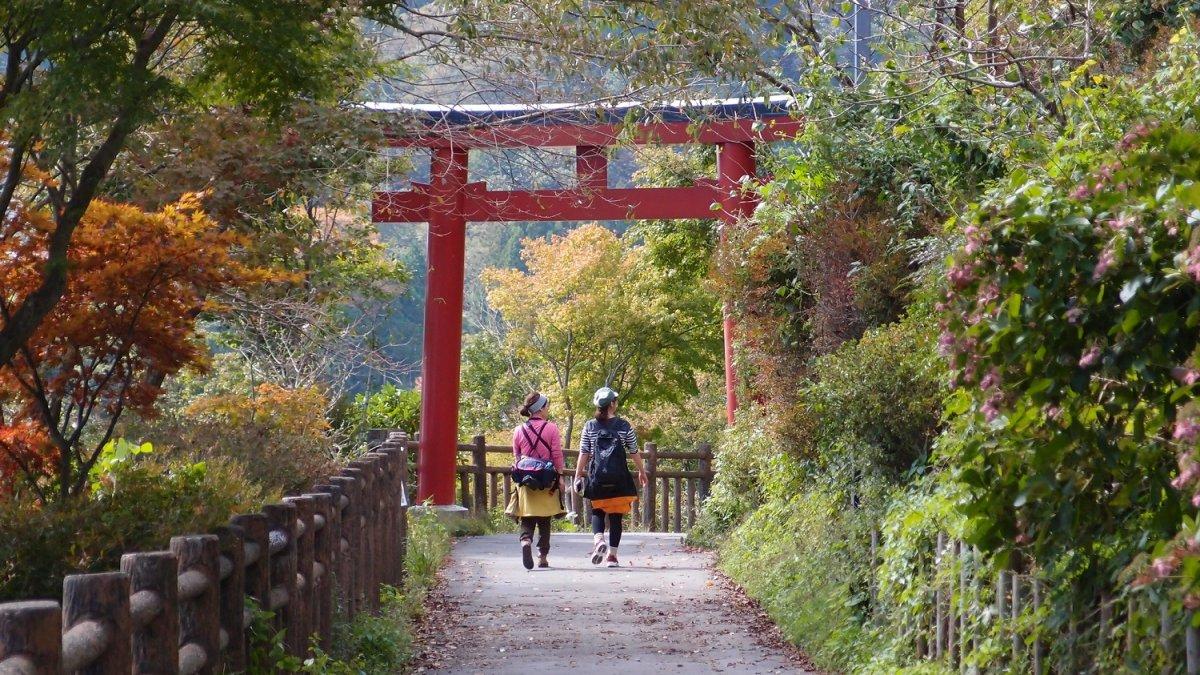 Wisatawan yang sedang mengunjungi Gunung Mitake di Jepang.