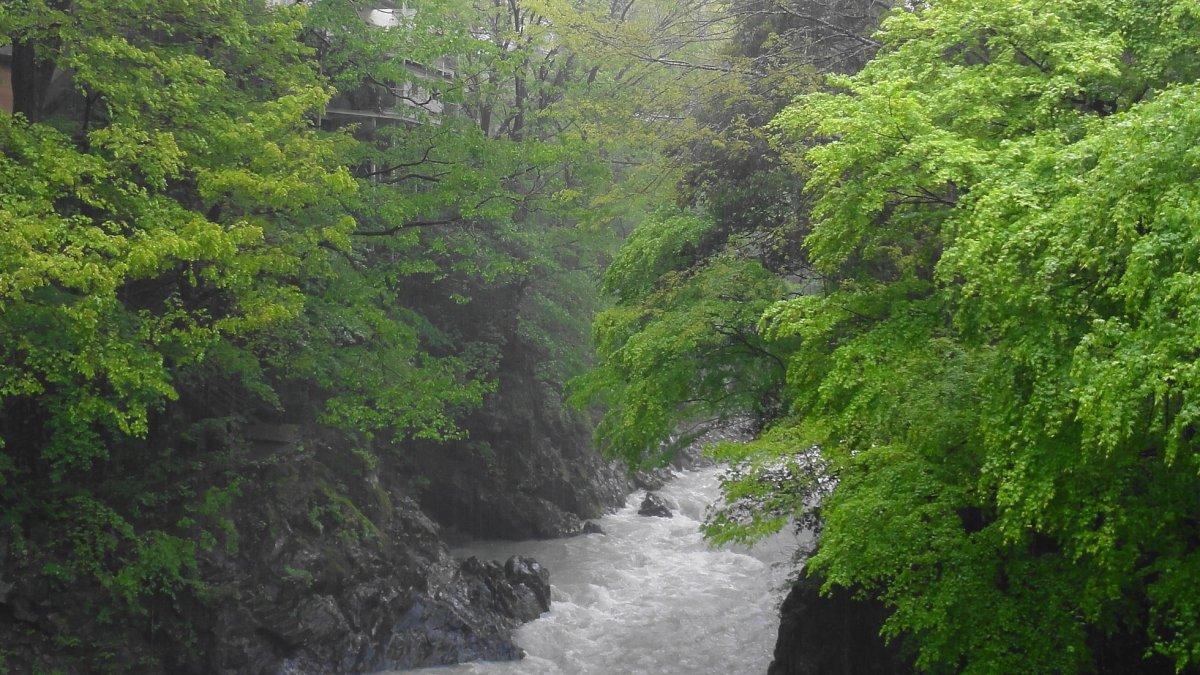 Ngarai Mitake, satu tempat wisata alam sekitar Tokyo Jepang yang cocok dikunjungi saat musim panas.