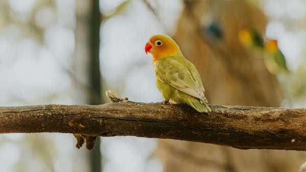 (Image Source: Canva)