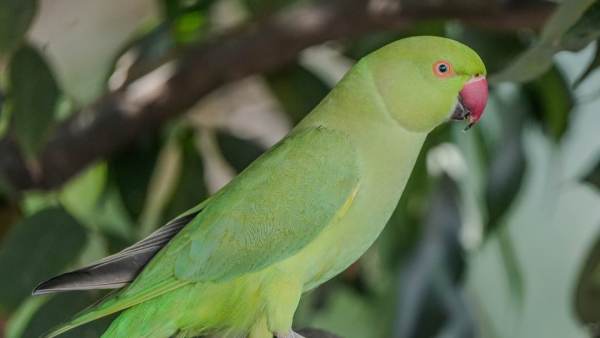 (Image Source: Canva)