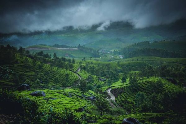 This may contain: a lush green hillside covered in lots of trees and bushes under a cloudy sky with dark clouds