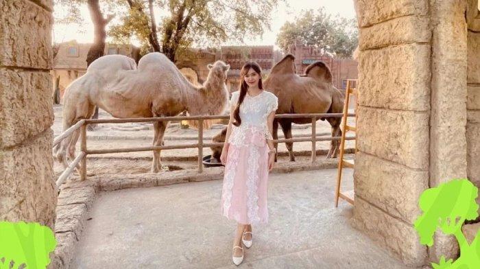 Wisatawan berfoto saat liburan di Solo Safari Kecamatan Jebres, Kota Solo, Jawa Tengah.