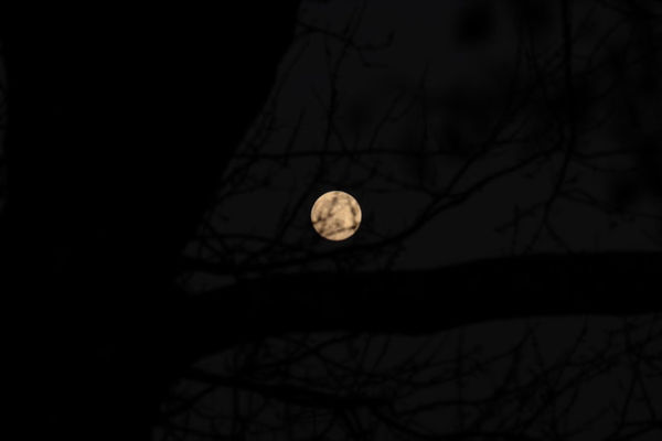 Ilustrasi apa itu Bulan Purnama Snow Moon. Foto: Unsplash