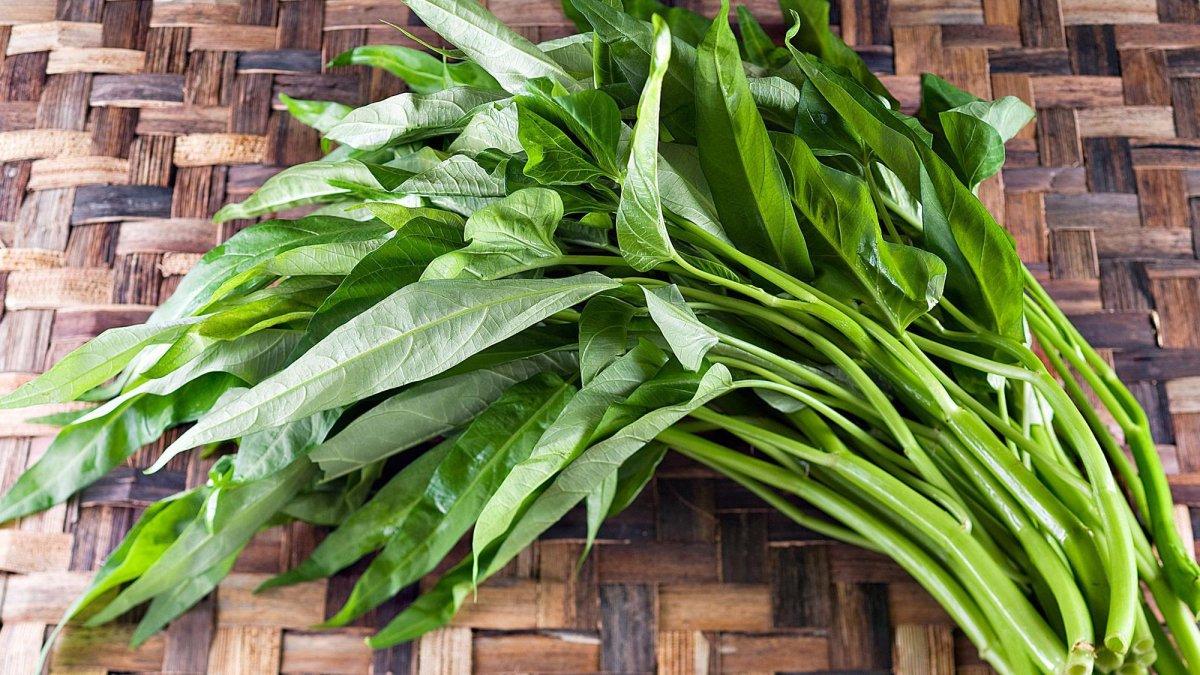 ilustrasi sayur kangkung, menyimpan manfaat untuk melancarkan produksi ASI