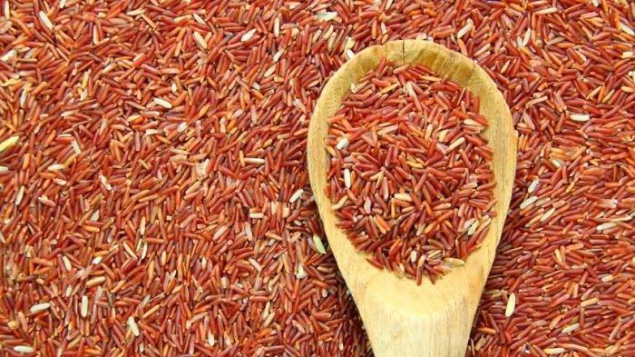 Ilustrasi beras merah untuk kesehatan penderita diabetes