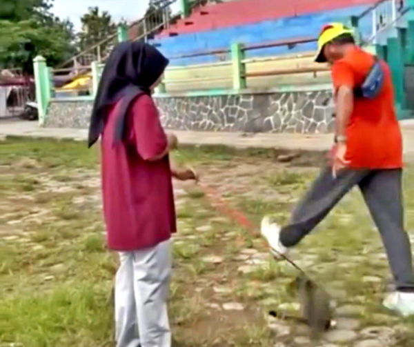 Tangkapan layar pria menendang kucing di Blora, Jawa Tengah. Foto: Dok. Istimewa