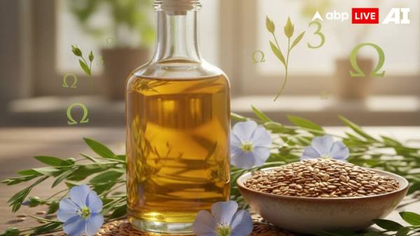 (Image Source: ABPLIVE AI)