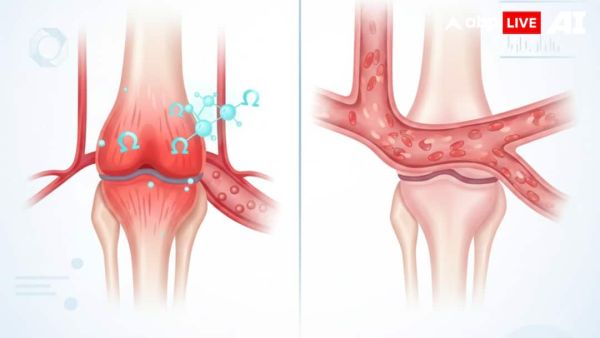 (Image Source: ABPLIVE AI)