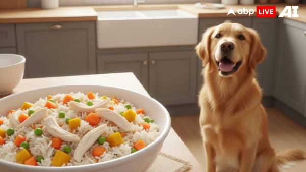 (Image Source: ABPLIVE AI)