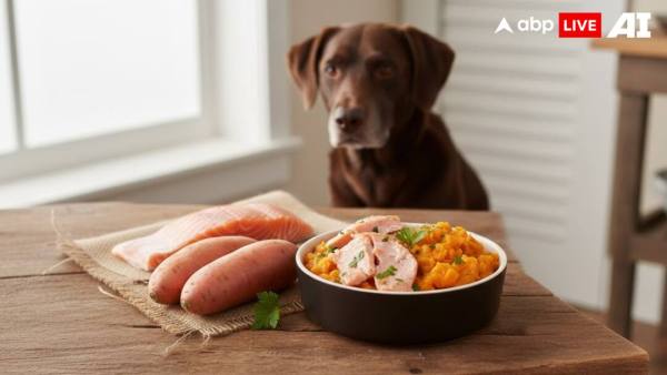 (Image Source: ABPLIVE AI)