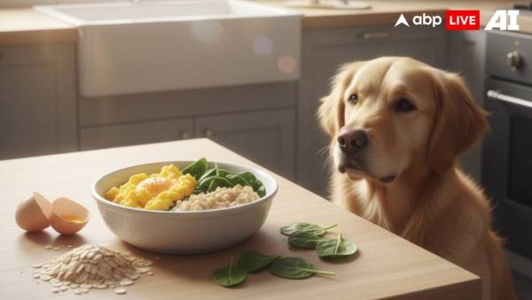 (Image Source: ABPLIVE AI)