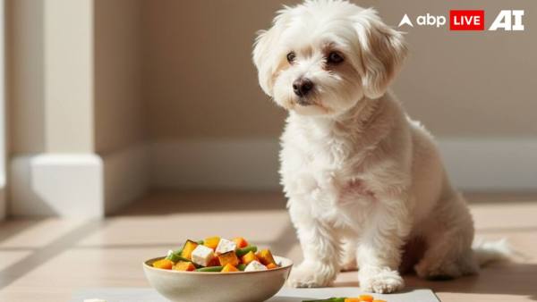 (Image Source: ABPLIVE AI)