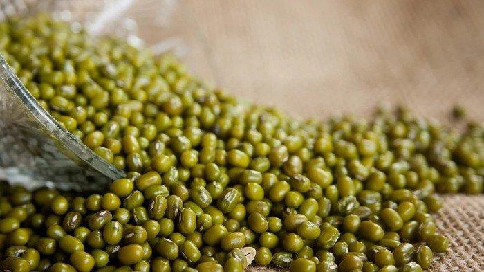 Ilustrasi kacang hijau