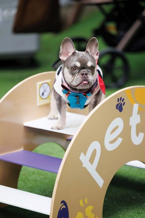 เพื่อนตัวเล็ก