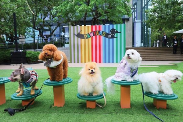 เพื่อนตัวเล็ก