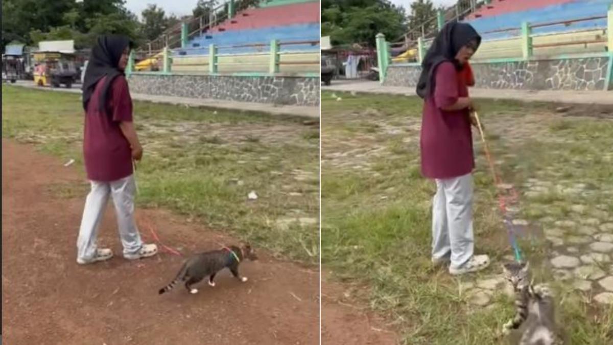 KUCING DITENDANG - Aksi seseorang yang terlihat menendang kucing hingga sebabkan stres dan mati di Lapangan Kridosono Blora