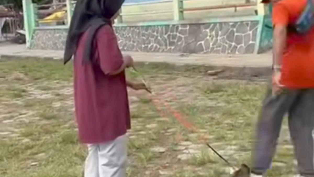 KUCING DITENDANG - Aksi seseorang yang terlihat menendang kucing hingga sebabkan stres dan mati di Lapangan Kridosono Blora