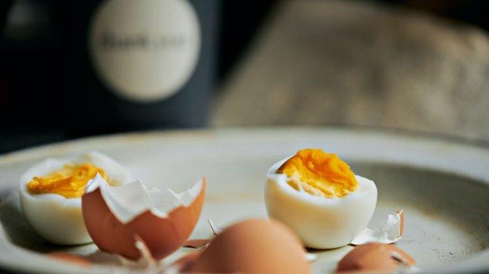 ilustrasi telur rebus, makanan kaya nutrisi yang bagus untuk ibu menyusui