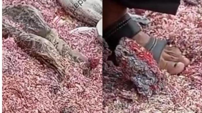 UANG - Tangkap layar video memperlihatkan penampakan cacahan uang rupiah kertas asli pecahan Rp 100 ribu dan Rp 50 ribu yang berserakan di sebuah Tempat Pembuangan Sampah (TPS) liar di Kabupaten Bekasi, viral di media sosial, Rabu (4/2/2026)