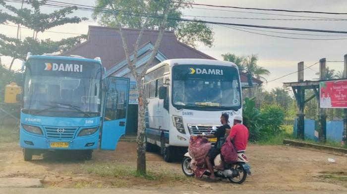 JADWAL DAMRI - Bus Damri rute Tana Tidung - Tanjung Selor akan berangkat melalui terminal di Jalan Perintis, Tideng Pale, Kecamatan Sesayap, Tana Tidung, Kaltara, Kamis (5/2/2026). Catat jadwal Damri dari Tana Tidung ke Tanjung Selor hari ini, tersedia juga rute Panca Agung dan Sekatak Buji. (TribunKaltara.com / Rismayanti)