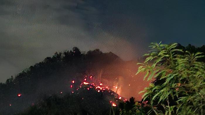 Kebakaran Hutan dan Lahan di Parigi Moutong Meluas, Ratusan Hektare Tanaman Terbakar