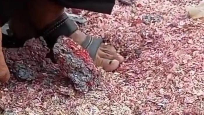 20260205 CACAHAN UANG1