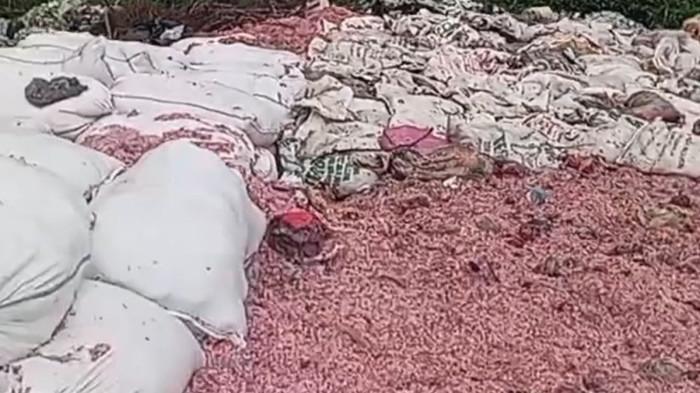 DIBUANG - Cacahan kertas yang diduga menyerupai uang rupiah tercecer di area tempat pembuangan sampah (TPS) liar di Kampung Serang, Desa Taman Rahayu, Kecamatan Setu, Kabupaten Bekasi. Rabu (28/1/2026. Diduga uang Rp50 ribu dan Rp100 ribu.