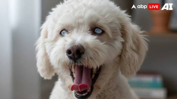 (Image Source: ABPLIVE AI)