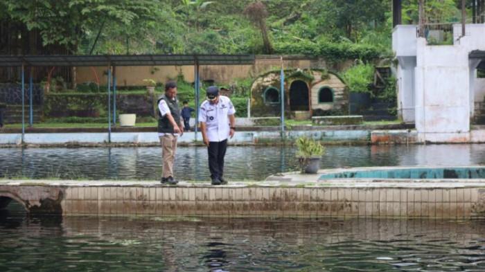 IKAN DEWA - Bupati Kuningan H Dian Rachmat Yanuar saat mengunjungi kolam keramat di Cigugur, Rabu 4 Februari 2026.