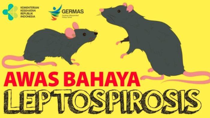 Waspadai gejala Leptospirosis saat banjir