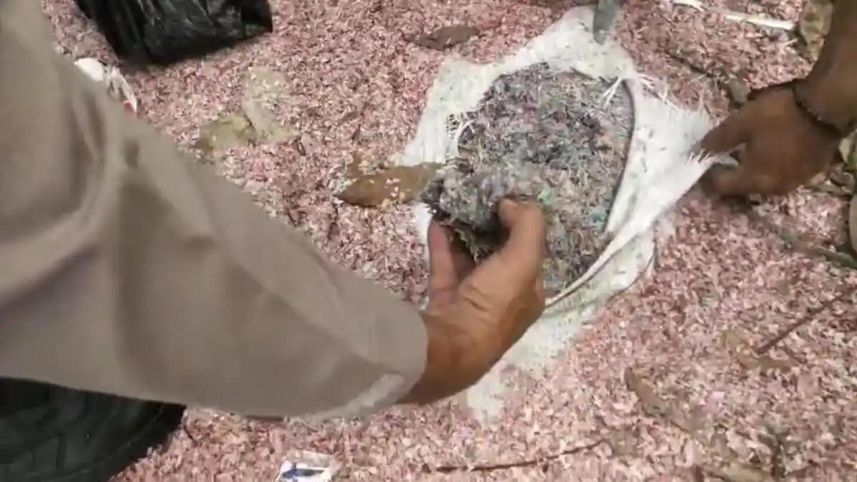 UANG CACAHAN - Kepolisian mengungkapkan uang Rp 100 ribu dan Rp 50 ribu yang ditemukan di tempat pembuangan sampah (TPS) Kabupaten Bekasi merupakan uang lama cetakan Bank Indonesia (BI). Limbah uang itu mulanya akan dibuang ke TPST Bantargebang.