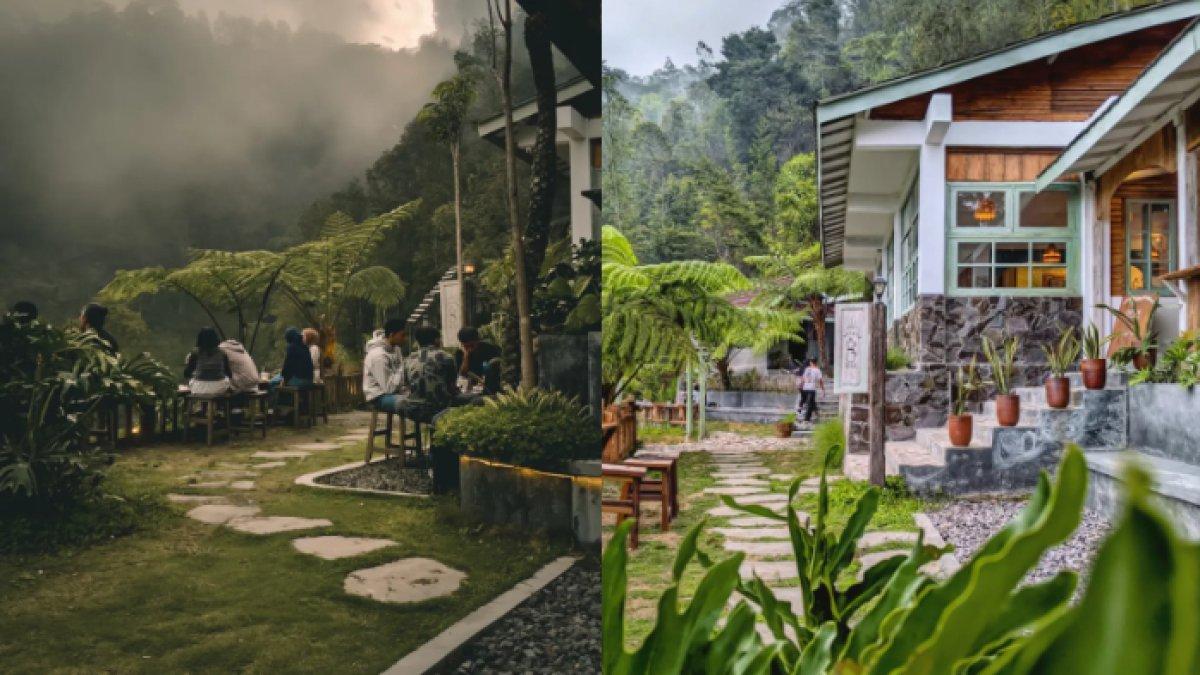 KULINER MENARIK - Potret Selosa Coffee Hills diambil dari Instagram pada Kamis (3/7/2025). Selosa Coffee Hills ada di Dusun IV, Samiran, Kecamatan Selo, Kabupaten Boyolali, Jawa Tengah.
