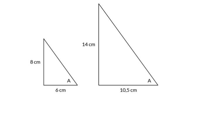 Kunci Jawaban Matematika Kelas 10 Kurikulum Merdeka Halaman 82 83 84 85 jawaban 4a