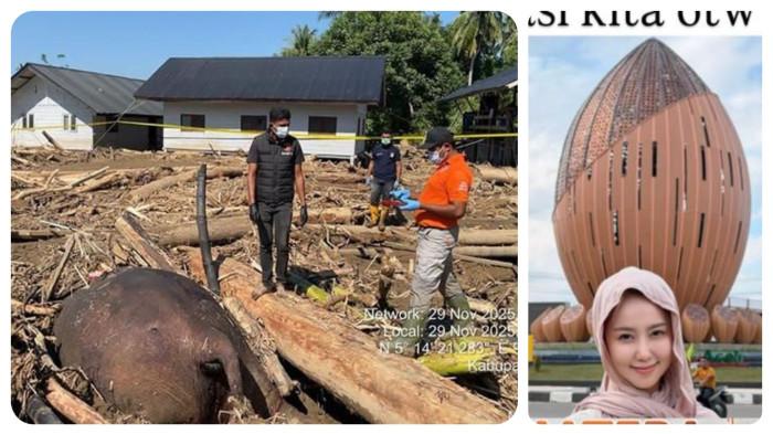 BANGKAI GAJAH TERBENGKALAI - Menyedihkan, gajah ikut jadi korban tewas banjir di Aceh, sudah 6 hari bangkainya tergeletak, konten kreator Vilmei sedih. Personel Unit Inafis Identifikasi dan Unit Tipidter Sat Reskrim Polres Pidie Jaya, melakukan olah TKP terhadap gajah mati ditumpukan kayu di bantaran Krueng Meureudue, Sabtu ( 29/11/2025) sekira pukul 09.00 WIB. Satwa dilindungi itu mati, diduga terbawa banjir. Konten kreator sekaligus relawan kemanusiaan Ci Vilmei akhirnya tiba di Kabupaten Pidie Jaya untuk menyalurkan bantuan bagi korban banjir bandang, Rabu (3/12/2025).