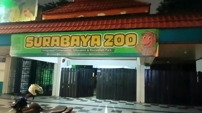 SUASANA KBS  - Suasana Kebun Binatang Surabaya (KBS) pada Kamis malam (5/2/2026). Kejaksaan Tinggi Jawa Timur (Kejati Jatim) menggelar kegiatan di KBS, pantauan SURYA.co.id di lokasi, sejumlah petugas terlihat hilir mudik sejak sore di kantor yang berada di Jalan Setail, Darmo, Wonokromo, Surabaya tersebut.