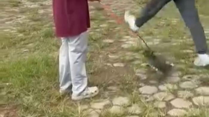 Pelaku Penendang Kucing Diperiksa - PJ (69), terduga pelaku penendang kucing di Lapangan Kridosono saat memberikan keterangan di Polres Blora, Senin (2/2/2026). PJ meminta maaf setelah aksinya menendang kucing bernama Mintel hingga mati viral di media sosial.