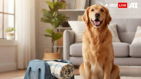 (Image Source: ABPLIVE AI)