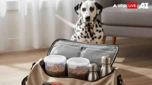 (Image Source: ABPLIVE AI)