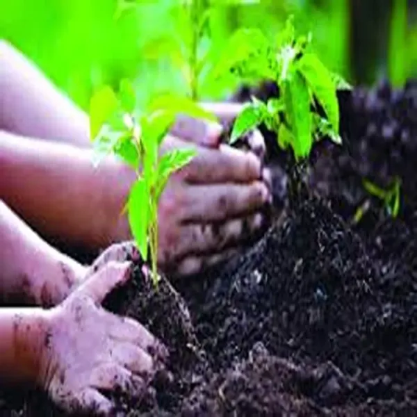 delhi afforestation plantation drive gap 2026