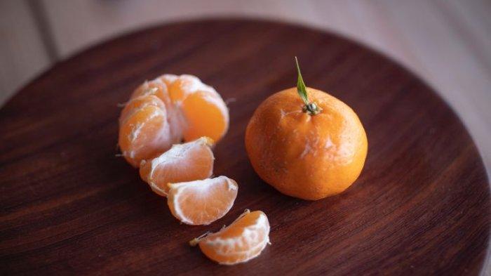 lustrasi jeruk mikan