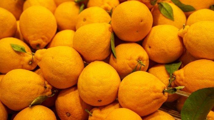 Ilustrasi jeruk dekopon