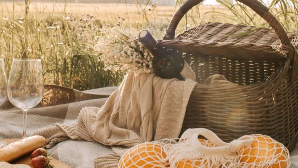 (Image Source: Canva)