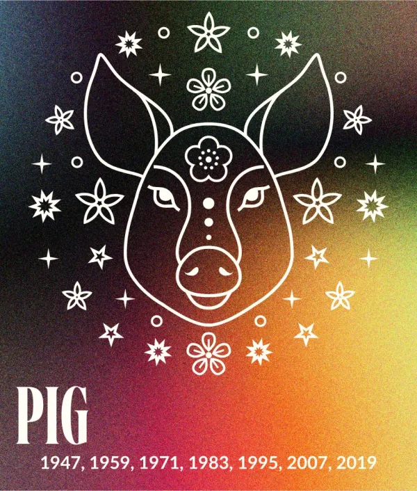 pig weekly chinese horoscopes animal sign february 9-15 2026