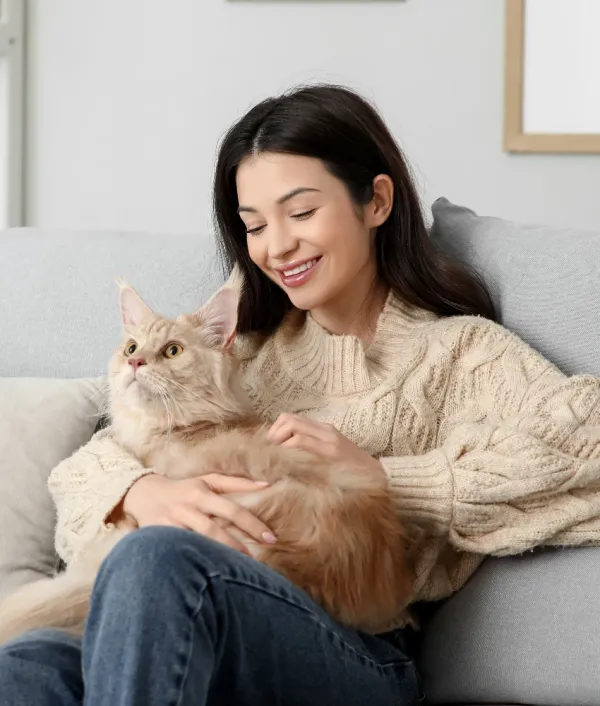 woman holding purring cat on lap has healing properties