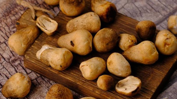 JAMUR MERANG - Jamur merang