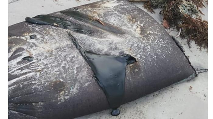 LIMBAH DI LINGGA - Warga Desa Batu Belungkur, Kecamatan Lingga Timur, Kabupaten Lingga, Provinsi Kepulauan Riau, dihebohkan dengan temuan sejumlah karung berisi minyak hitam yang terdampar di pesisir Pantai Dungun, Jumat (6/2/2026).