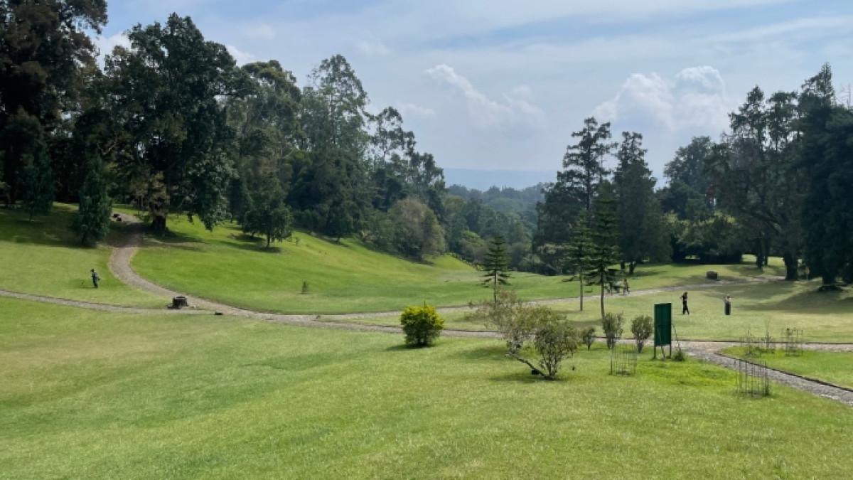 Kebun Raya Cibodas, tempat wisata alam populer di Bogor, Jawa Barat.