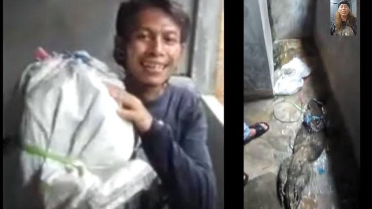 VIRAL GOTONG MAYAT - Tangkapan layar pria diduga bawa mayat di Jakbar terekam CCTV, disadur dari unggahan Instagram @jacklyn_choppers. Belakangan terungkap fakta dari dugaan pria tersebut menggotong mayat, ternyata yang dibawa adalah biawak.