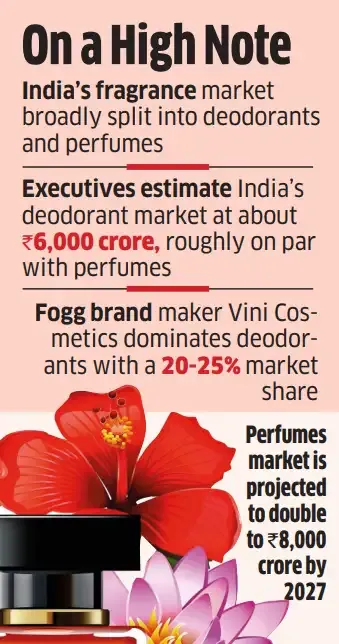 Screenshot 2026-02-08 234405