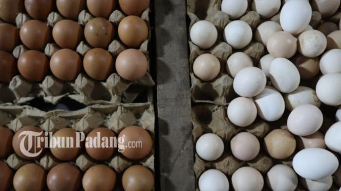 HARGA BAHAN POKOK: Mendekati bulan suci Ramadhan 2026, sejumlah harga kebutuhan pokok di Pasar Raya Padang, Sumatera Barat, mulai mengalami tren kenaikan, Selasa (10/2/2026). Fadil, salah seorang pedagang telur di Pasar Raya Padang, mengungkapkan bahwa kenaikan harga telur ayam ras terjadi secara bertahap dalam beberapa hari terakhir.